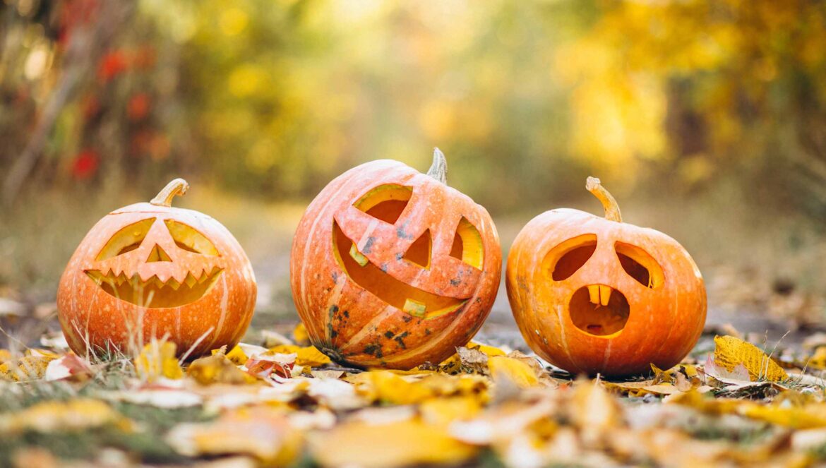 Conheça 7 curiosidades sobre o Halloween!